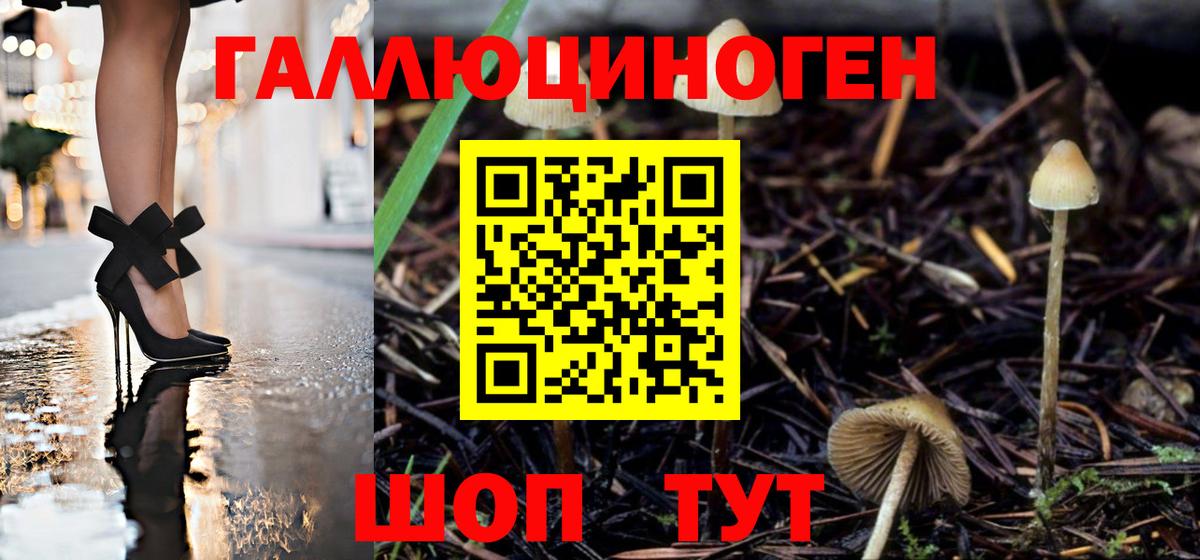 Псилоцибиновые грибы Magic Shrooms Будённовск