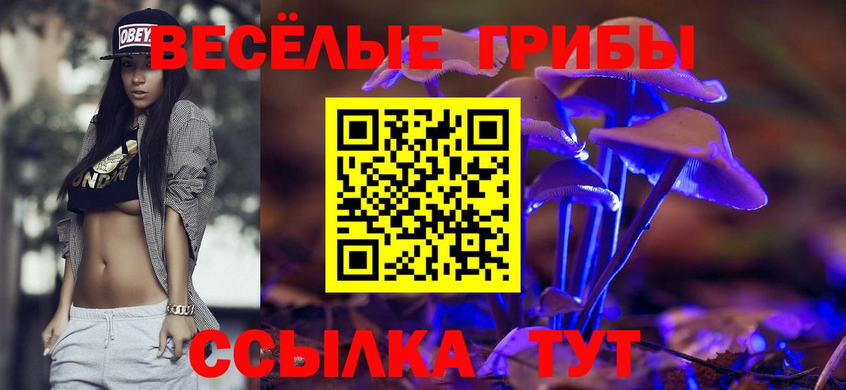 Будённовск  как найти   Вход с VPN  Псилоцибиновые грибы GOLDEN TEACHER 